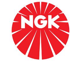 NGK EPBMFT5-D005P - CAUDALIMETRO