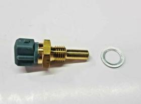 ESF ERR2081 - TERMISTOR TEMP. 300 T DI